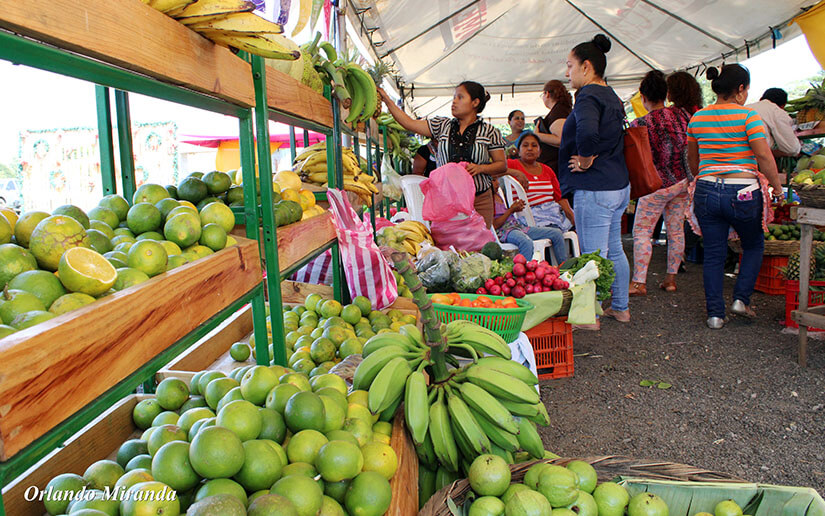 MERCADITO